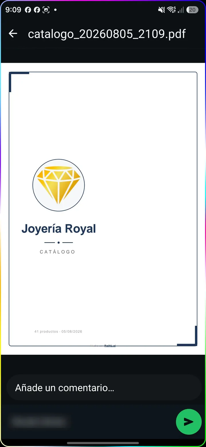 El catálogo PDF ya enviado dentro de una conversación de WhatsApp.